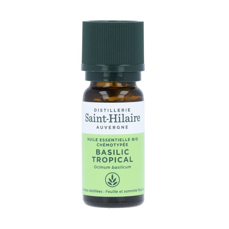 Huile essentielle Basilic Tropical - Saint-Hilaire