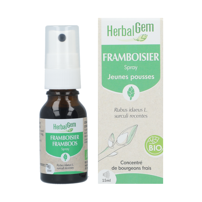 Macérat Framboisier - Herbalgem