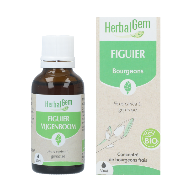 Macérat Figuier - Herbalgem