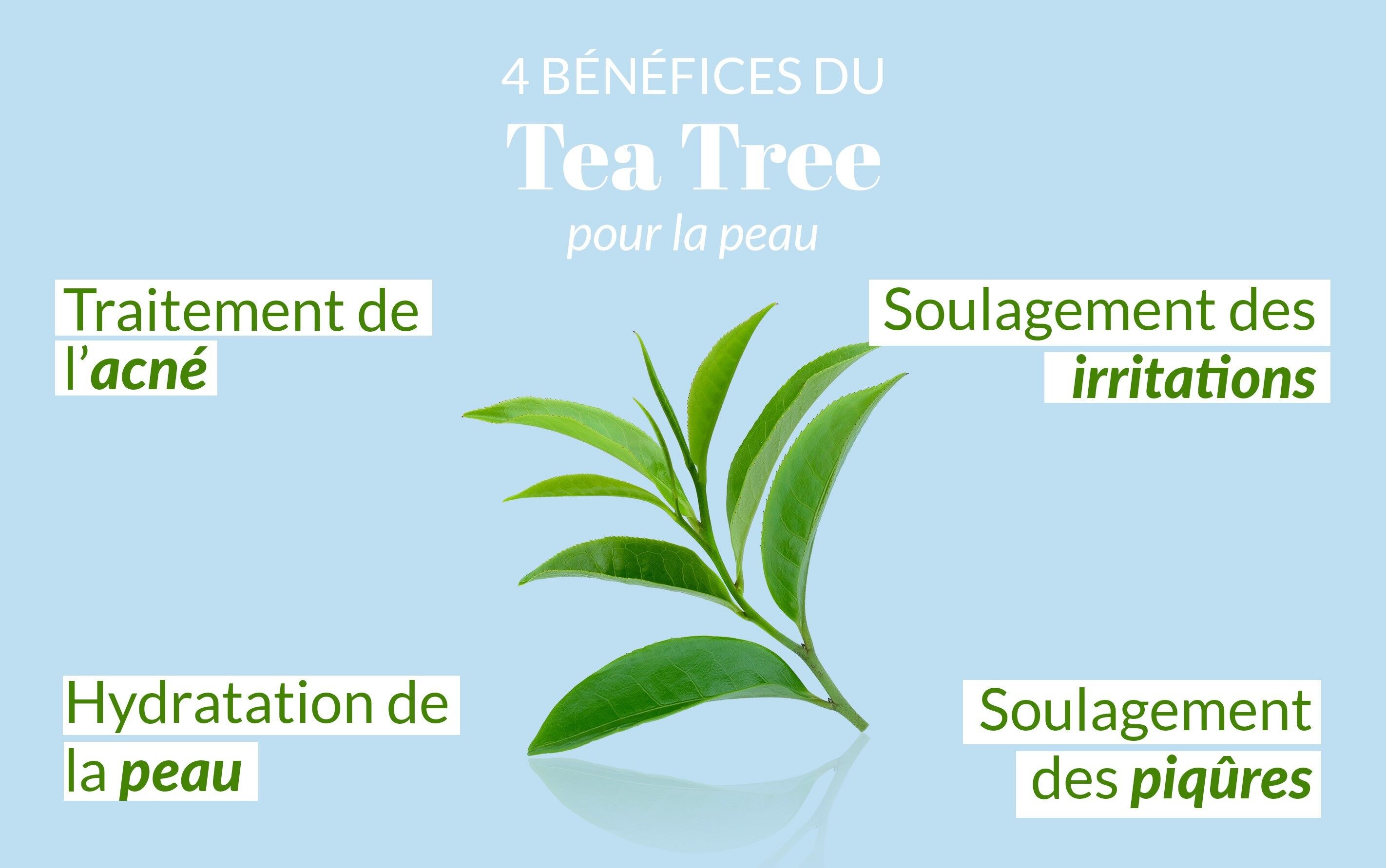 Huile essentielle Tea Tree - Saint-Hilaire