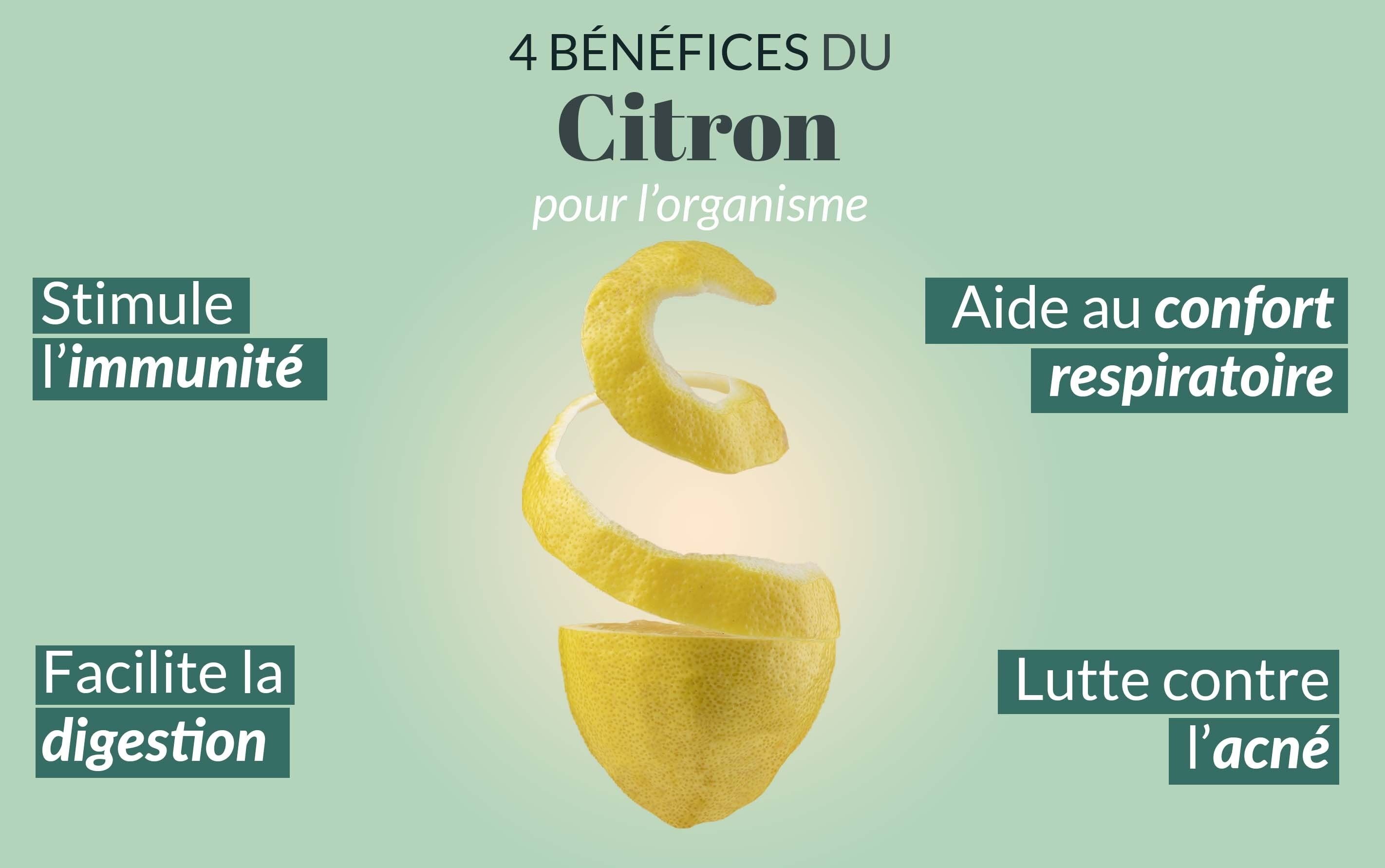 Tisane Glacée Menthe Citron - Nat&Form