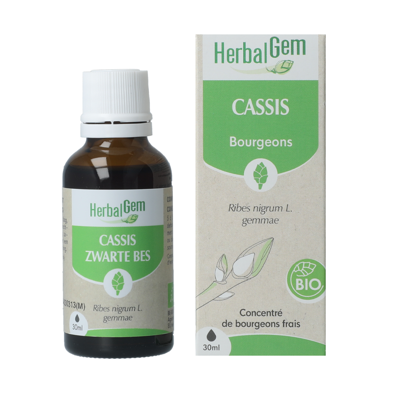 Macérat Cassis - Herbalgem