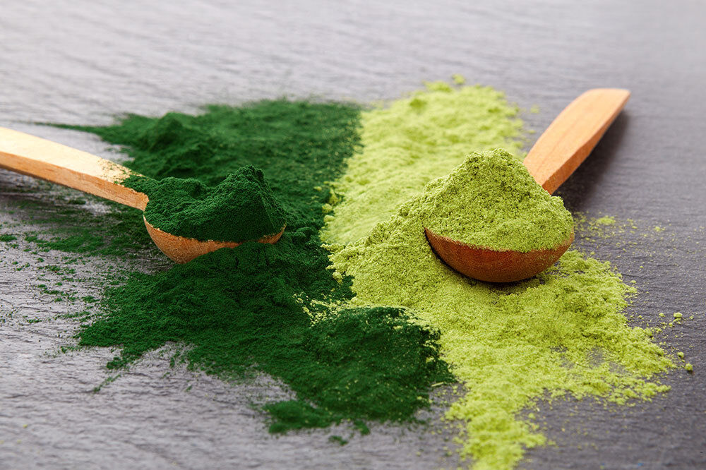 Spiruline et Chlorella : deux microalgues complémentaires