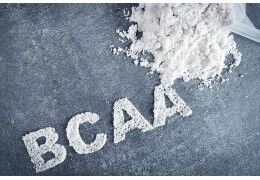 BCAA et bienfaits : des acides aminés essentiels aux multiples avantages