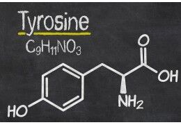 L-tyrosine : les contre-indications à connaître