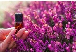 Hypersensibilité : les bienfaits des fleurs de Bach