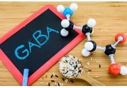 GABA : les bienfaits du neurotransmetteur principal