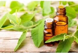 Qu'est-ce que l'huile essentielle d'eucalyptus citronné ?