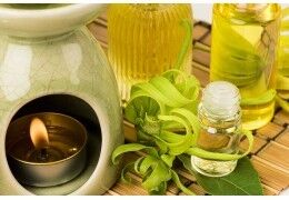 L'huile essentielle d'ylang ylang pour la libido