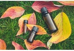 Huiles essentielles d'automne : les incontournables de la saison