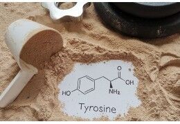 L-Tyrosine : quels effets et au bout de combien de temps ?