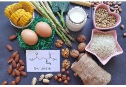 Les aliments riches en glutamine