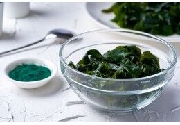 Spiruline fraîche : bienfaits pour la santé