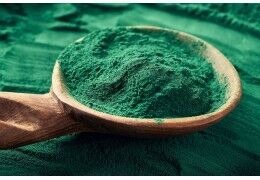 Qu'est-ce que la spiruline en poudre ?